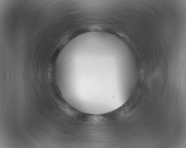 X0000052980379200508051047