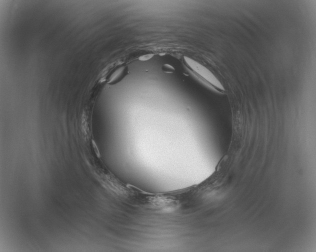 X0000052980380200508051047