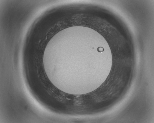 X0000052980382200508051047