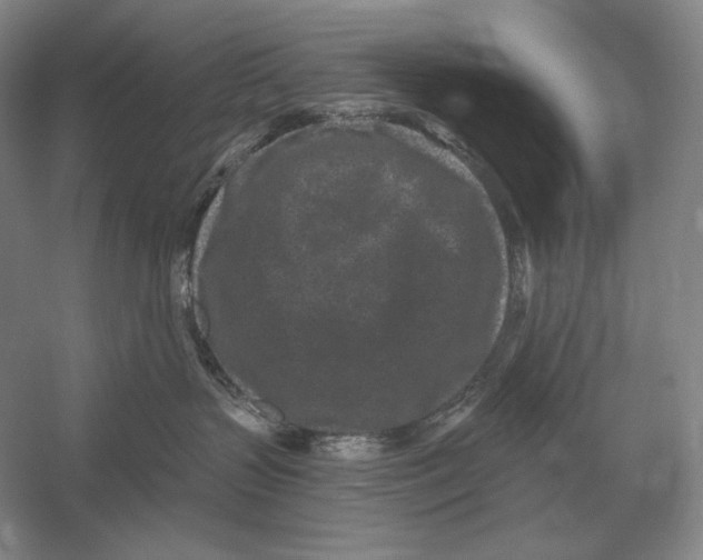 X0000052980383200508051047