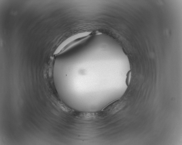 X0000052980384200508051047