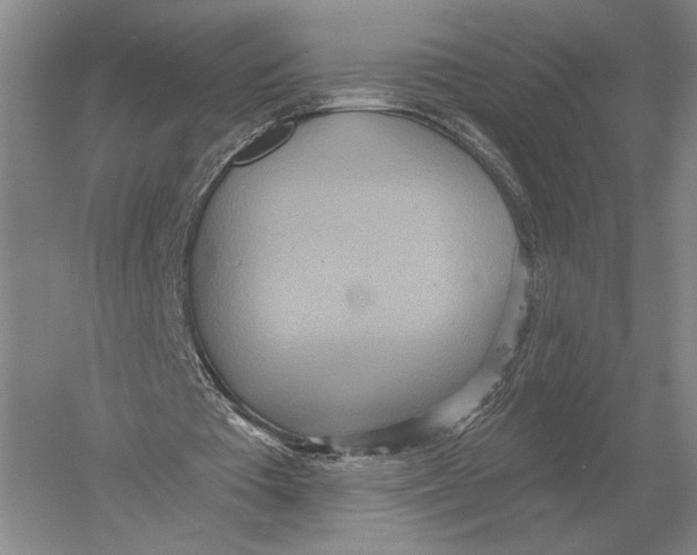 X0000052980385200508051046