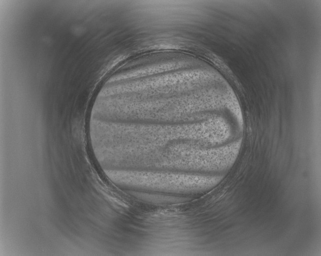 X0000052980386200508051046