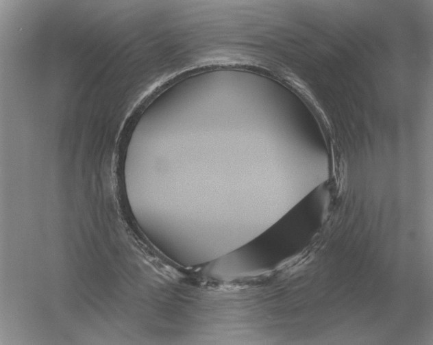 X0000052980387200508051046