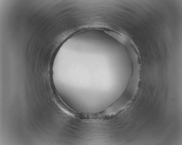 X0000052980389200508051046