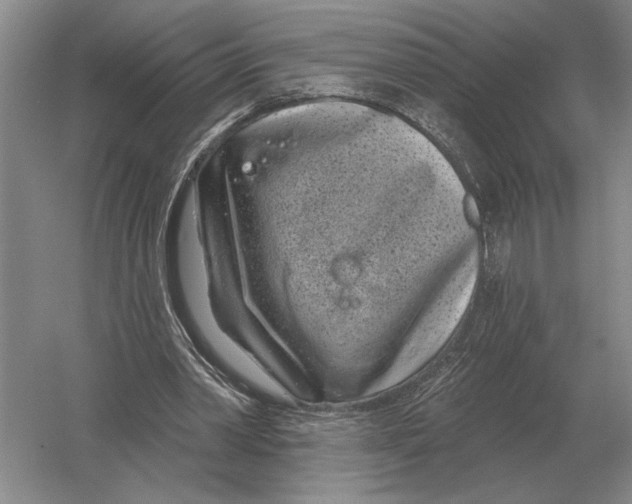 X0000052980390200508051046