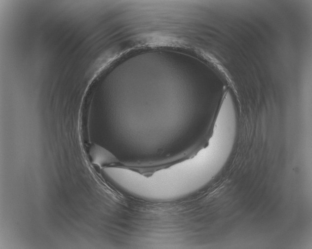 X0000052980391200508051046