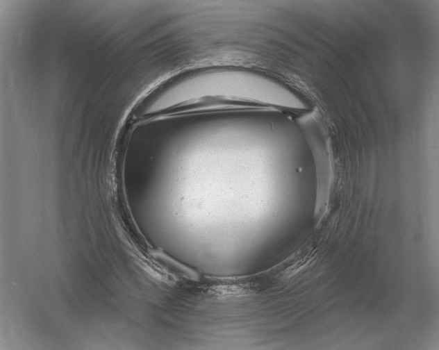 X0000052980392200508051046