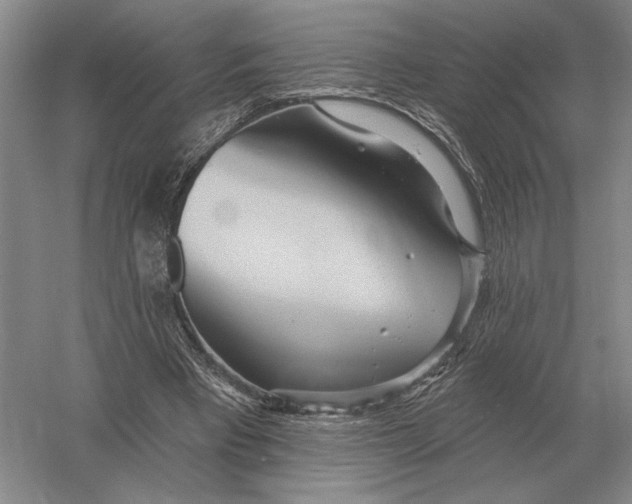 X0000052980393200508051046