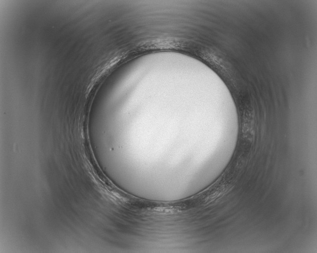 X0000052980394200508051046