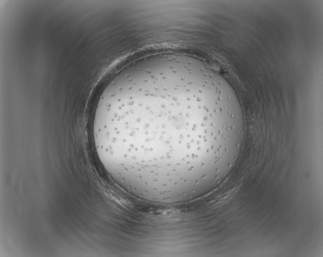 X0000052980395200508051046