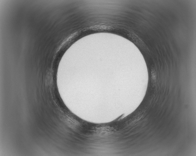 X0000052980396200508051046