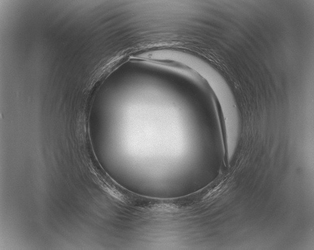 X0000052980397200508051046