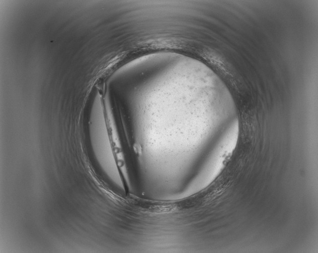 X0000052980398200508051046