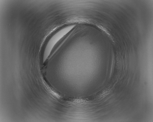 X0000052980399200508051046