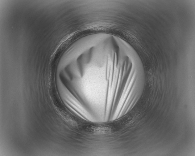 X0000052980400200508051046