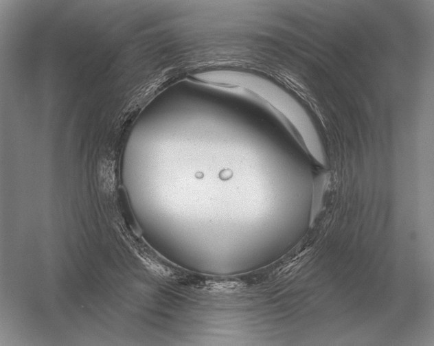 X0000052980401200508051046