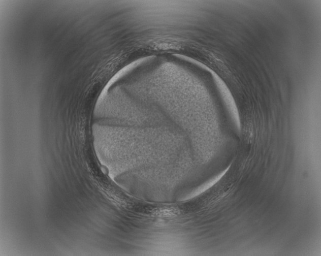 X0000052980402200508051046