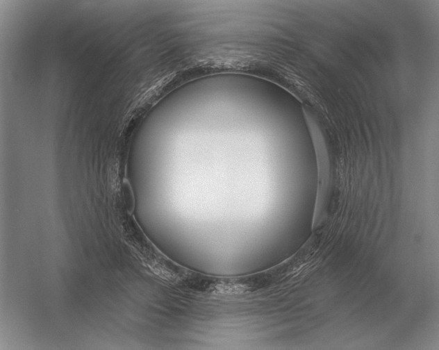 X0000052980403200508051046