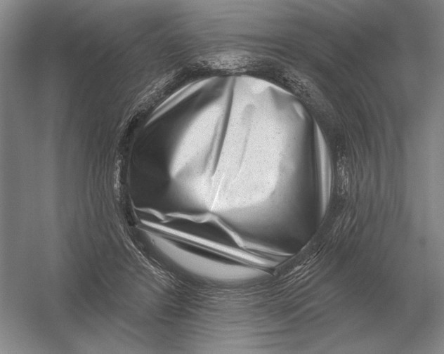 X0000052980404200508051046