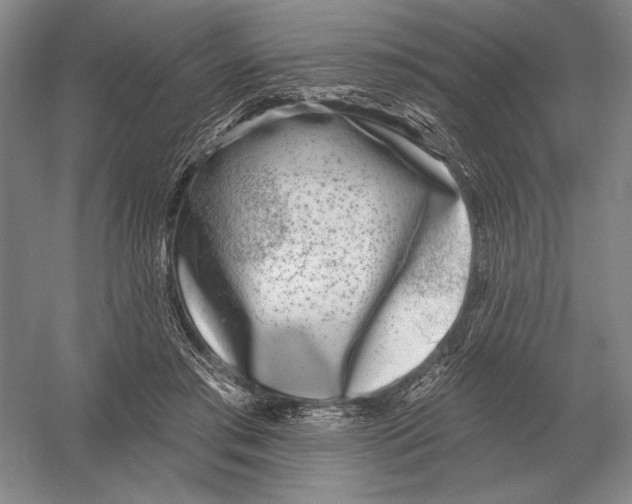 X0000052980405200508051046