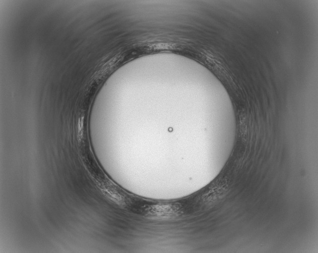 X0000052980406200508051046