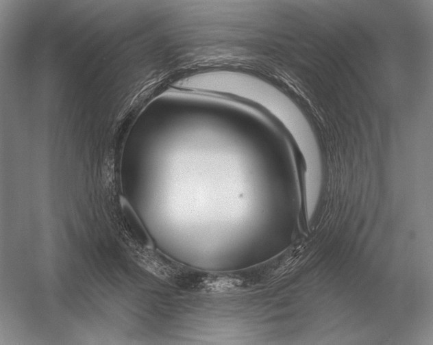 X0000052980407200508051046