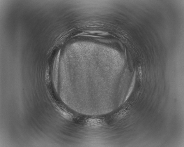 X0000052980408200508051046