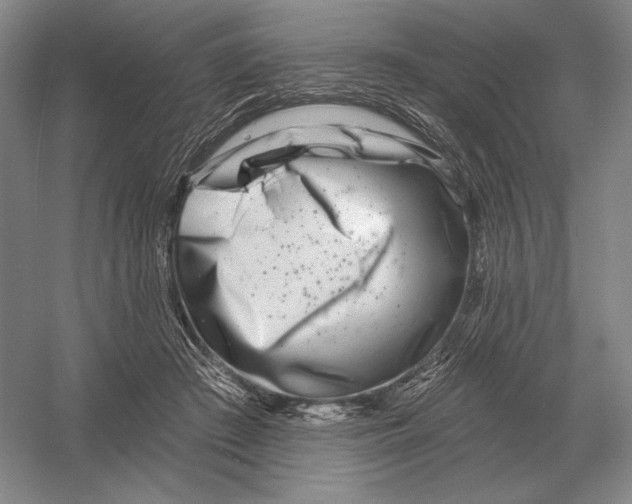 X0000052980409200508051046