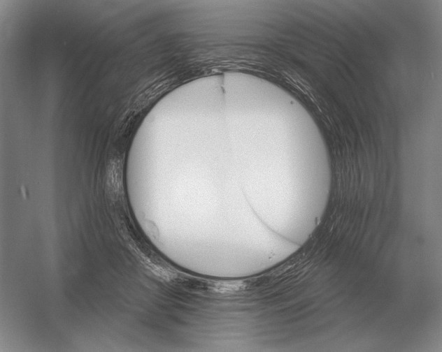 X0000052980410200508051046