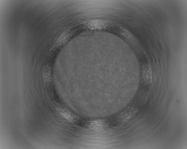 X0000052980411200508051046