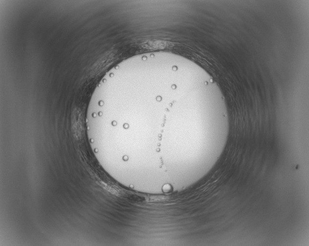 X0000052980414200508051046