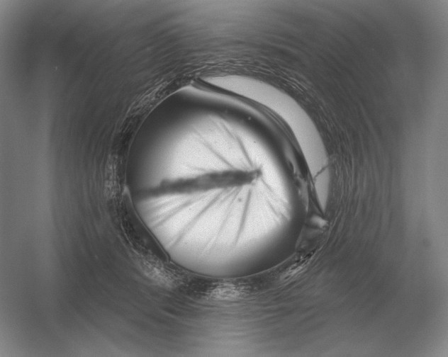 X0000052980416200508051046