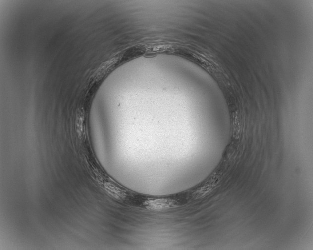 X0000052980417200508051046