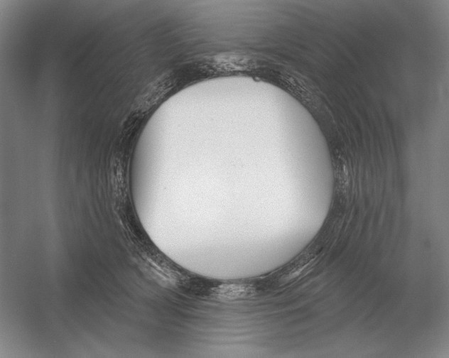 X0000052980418200508051046