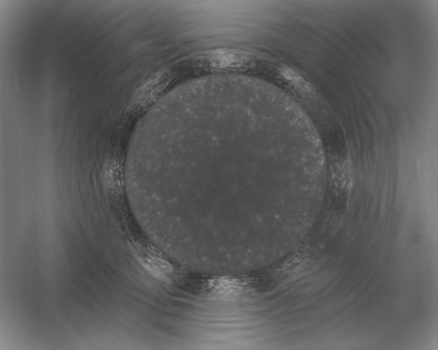 X0000052980419200508051046