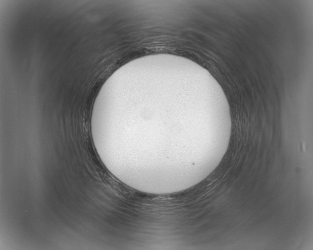 X0000052980420200508051046