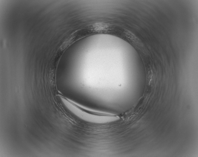 X0000052980421200508051046