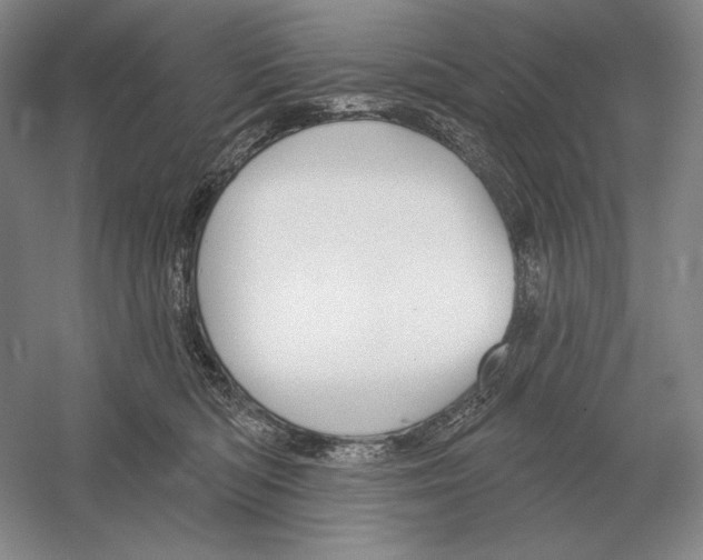 X0000052980422200508051046