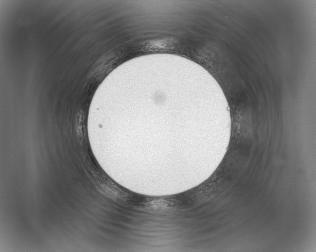 X0000052980423200508051046