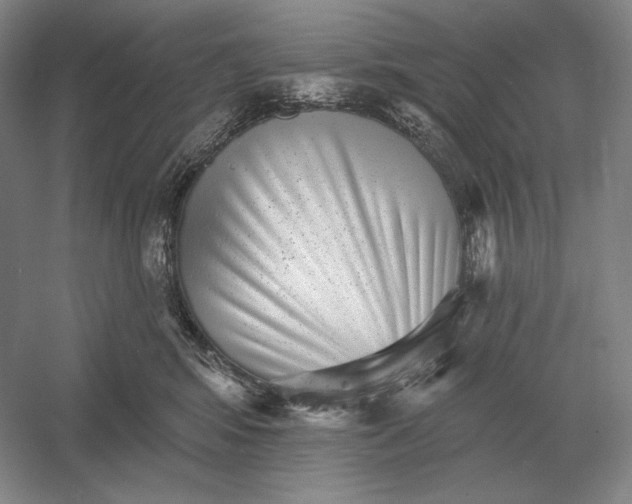 X0000052980424200508051046