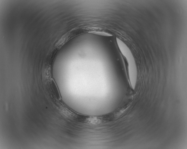 X0000052980425200508051046