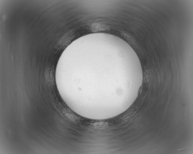 X0000052980426200508051046