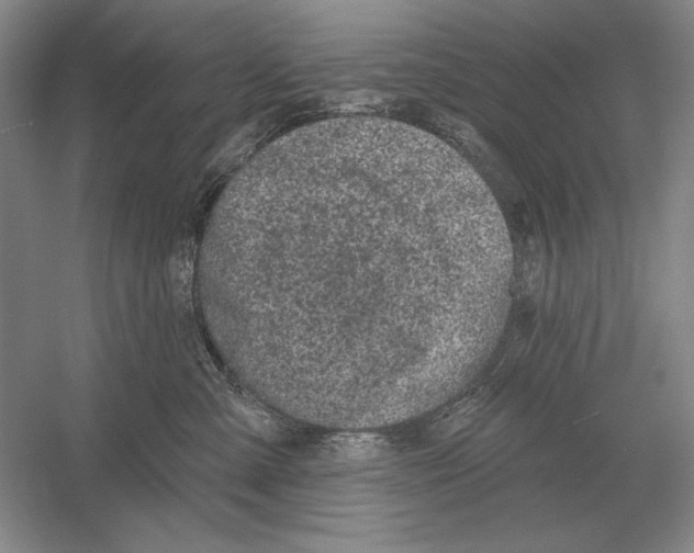 X0000052980427200508051046