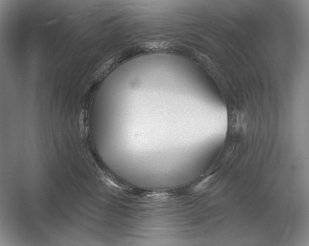 X0000052980428200508051046