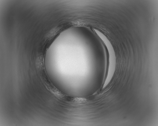 X0000052980429200508051046