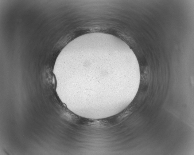 X0000052980430200508051046