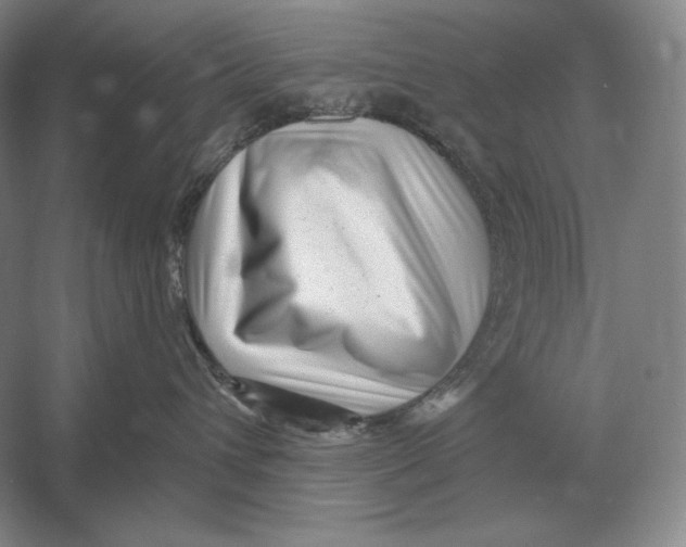 X0000052980432200508051046