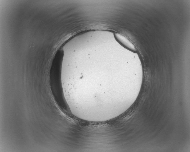 X0000052980433200508051045