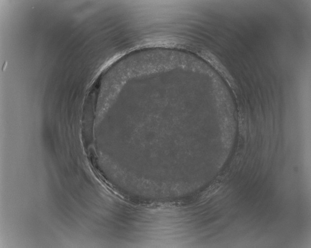 X0000052980434200508051045